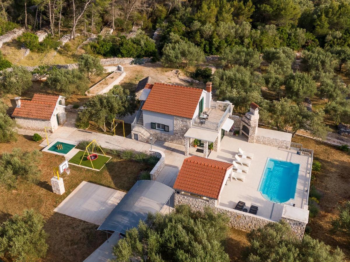 Villa Barbara - Olive Paradise, With Chlorine-Free Pool 尼亚卢卡 外观 照片
