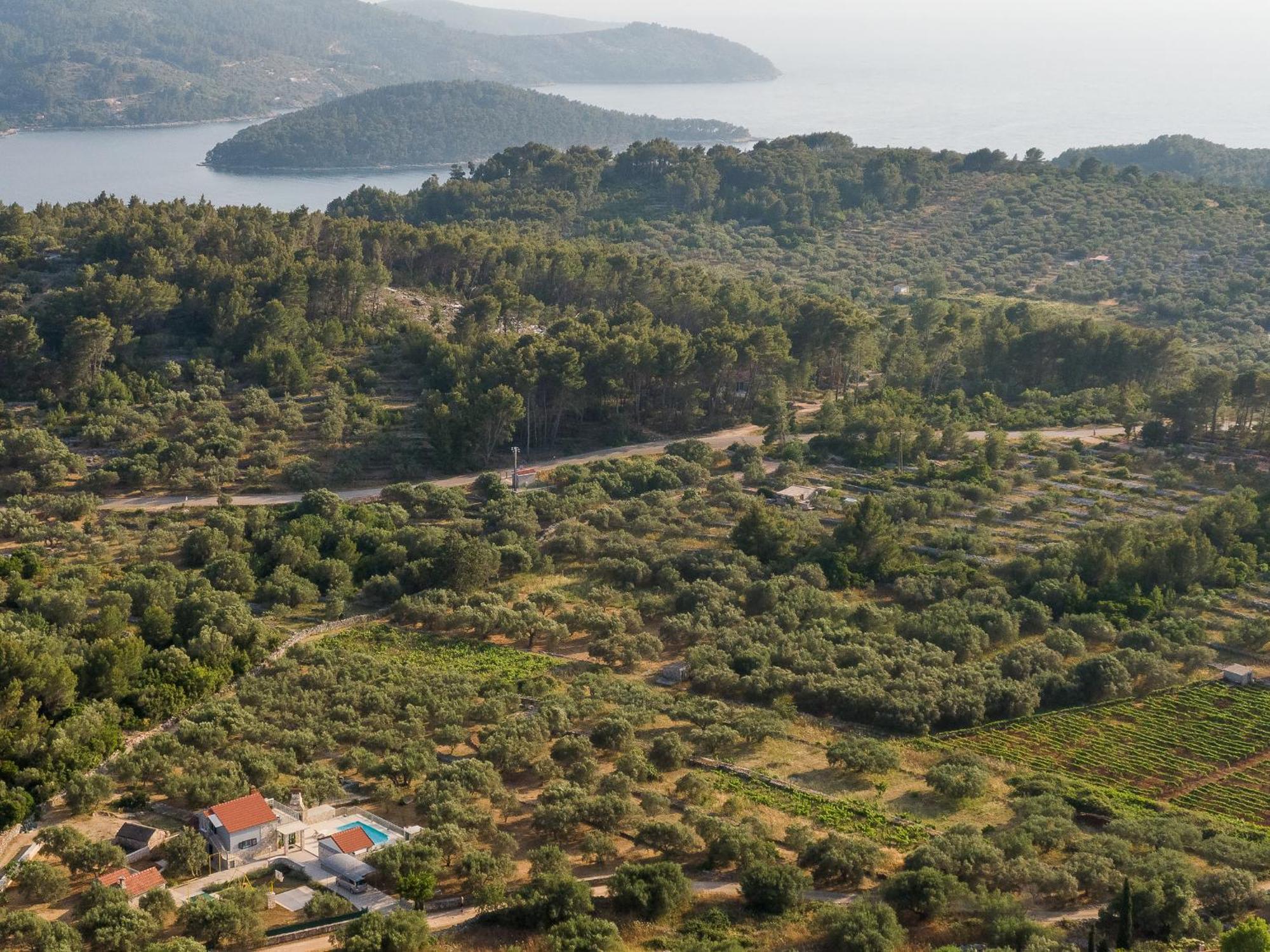 Villa Barbara - Olive Paradise, With Chlorine-Free Pool 尼亚卢卡 外观 照片