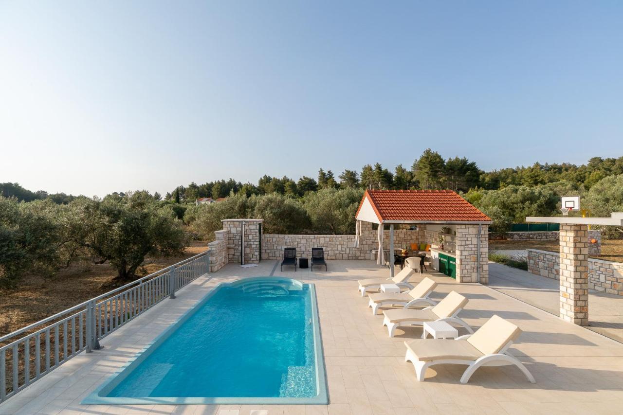 Villa Barbara - Olive Paradise, With Chlorine-Free Pool 尼亚卢卡 外观 照片